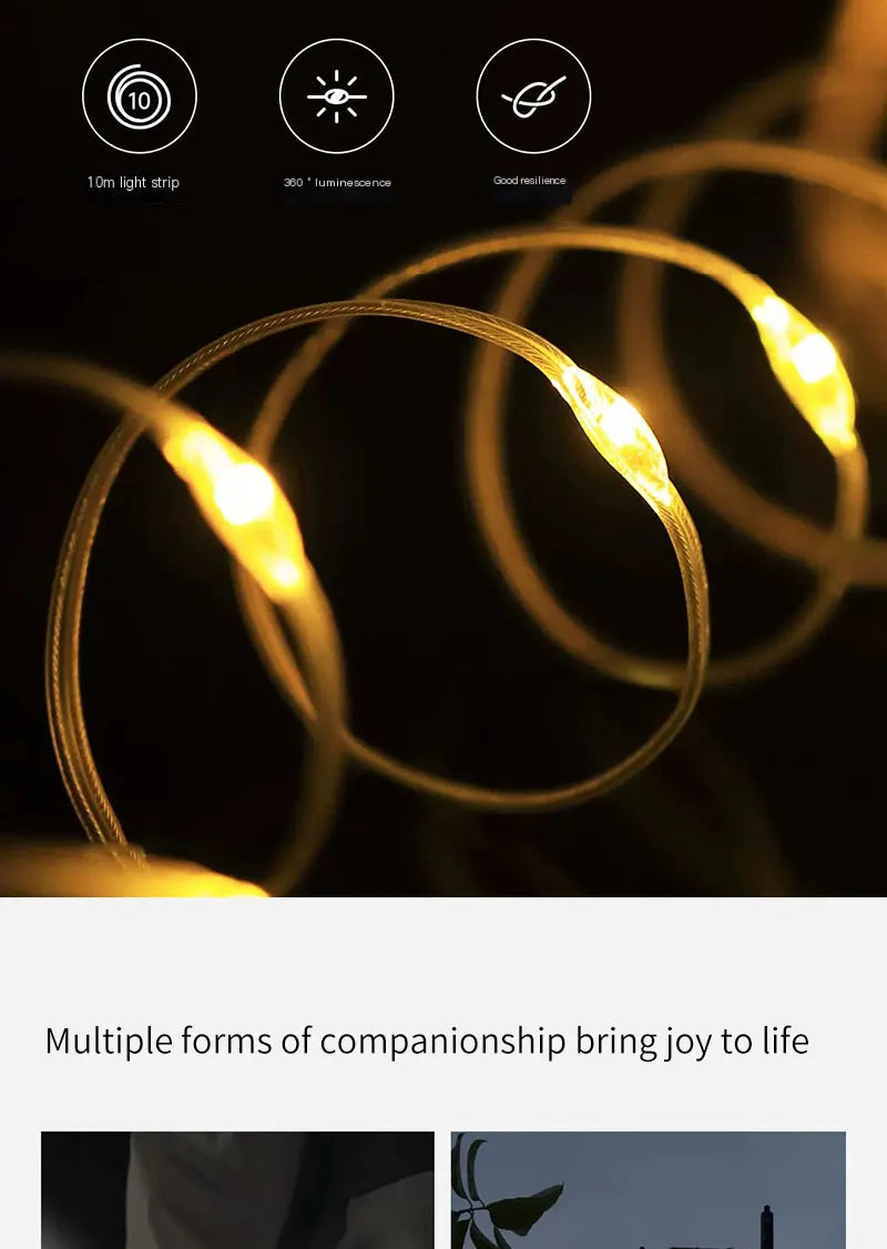 LED String Lights Christmas Wedding Decoration